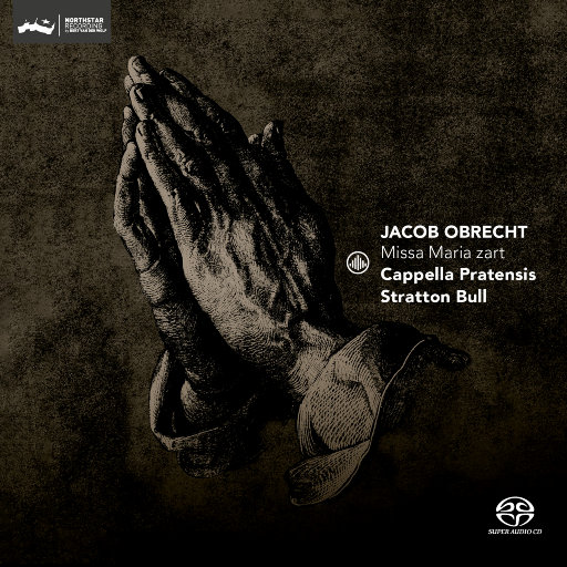 嗯啊不要疼视频
